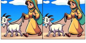 Let’s See How Quickly You Can Find the Differences!