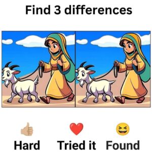Let’s See How Quickly You Can Find the Differences!
