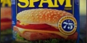 Off The RecordWhy Is It Called Spam, Anyway?