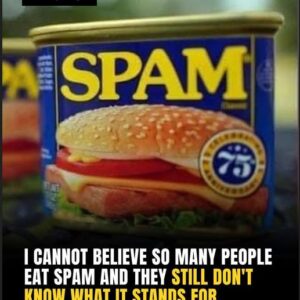 Off The RecordWhy Is It Called Spam, Anyway?
