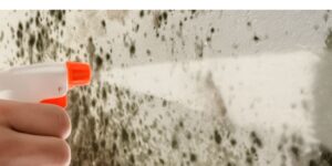How to remove moisture from walls so it never comes back