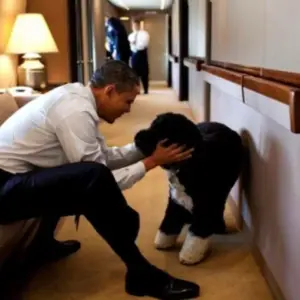 WE offer the Obama family our sympathy during these trying times.