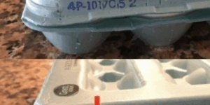 Cracking Eggs with Meaning: More Than Just a Simple Breakfast