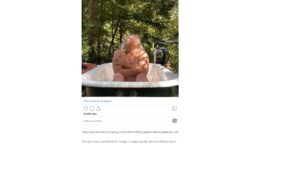 Ricki Lake came under fire for posting a completely n*de photo