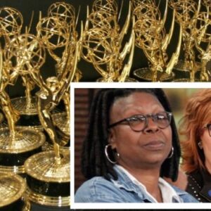 The View Banned From Daytime Emmy Nominations – “Whoopi Is Toxic”