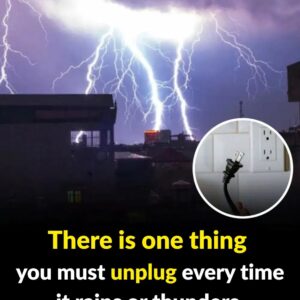 One Device You Need to Unplug Before a Storm