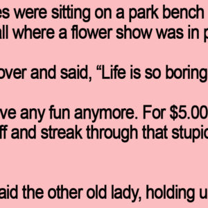 Two Old Ladies Were Sitting On A Park Bench.