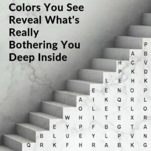 The First Three Colors You See is…