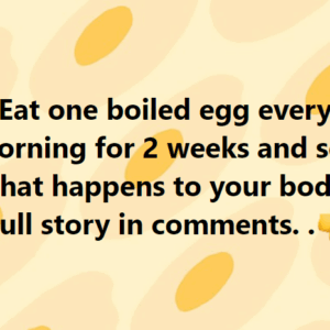 Eat one boiled egg every morning for 2 weeks and see what happens to your body