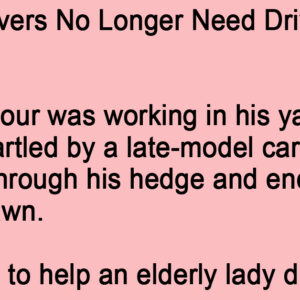 Senior Drivers No Longer Need License.