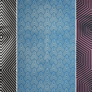 Only People With A High IQ Are Able To See The Images Hidden In These Pictures