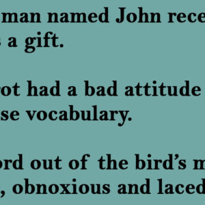 A Young Man Named John Received A Parrot As A Gift.