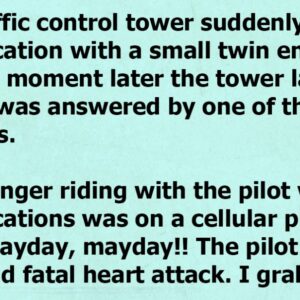Pilot finds himself in trouble, but his message for air traffic controller is hilarious