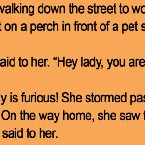 A Lady Was Walking Down The Street.