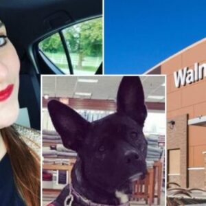 Woman Upset When Stranger’s Kid Smacks Service Dog, She Hits Back