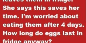 Storing Fresh Eggs