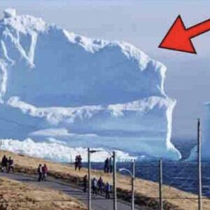 Iceberg floats near the local village. When people see what’s on it, they get scared… Continue reading in comments 👇