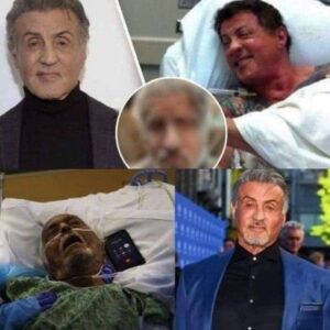 59 minutes ago / The family announced the sad news of Action movie legend Sylvester Stallone!.𝐖𝐚𝐭𝐜𝐡 𝐢𝐧 𝐜𝐨𝐦𝐦𝐞𝐧𝐭𝐬 𝐛𝐞𝐥𝐨𝐰👇👇