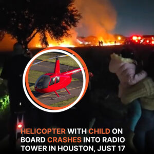 Seven Dead, Including a Child, after Helicopter Crashes into Radio Tower in Houston (VIDEO)