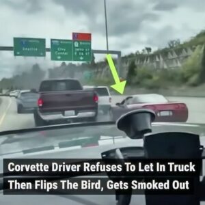 This Corvette driver must have definitely regretted flipping off the driver of this pickup truck.