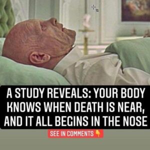 Did you know? Researchers have discovered that your sense of smell might actually hint at your lifespan.