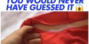 This is what the strange pocket inside women’s underwear is for.
