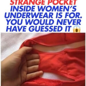 This is what the strange pocket inside women’s underwear is for.