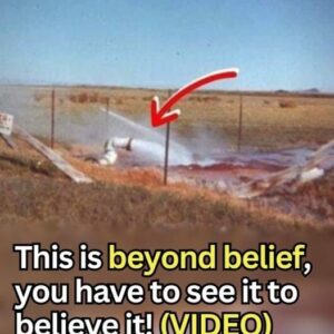 A Farmer Dug A Hole To Find Water, But What Came Up Instead Astound The Whole World – This is beyond belief