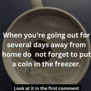 When we return from vacations or a trip, we usually check that everything is as we left it, especially the refrigerator