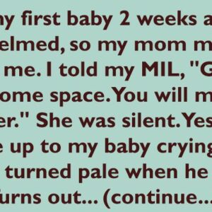 I Denied My MIL Access to My Baby — So She Dared to “Teach Me a Lesson”