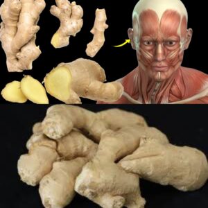 What Happens To Your Body When You Eat Ginger Everyday