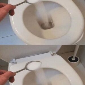 Unveiling the Toilet’s Hidden Ally: Unleashing the Potential of Table Salt
