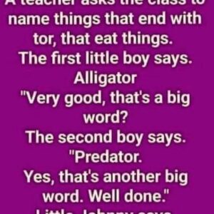 A Teacher Asks The Class To Name Things That End With “Tor”