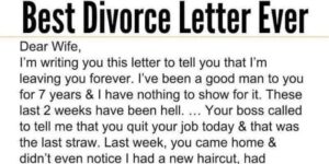 Wife receives a divorce letter from husband, her reply is brilliant