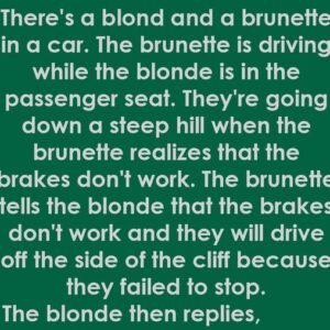 A Blonde And a Brunette And a Hilarious Encounter