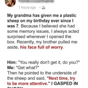 My Grandma Gave Me a Plastic Sheep on My Birthday for Years And I only Discovered their Secret Purpose after Her D3ath