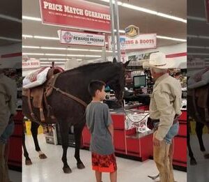 Store Puts Up Sign That Says ‘All Pets Are Welcome’ – Then Cowboy Brings In His Horse!