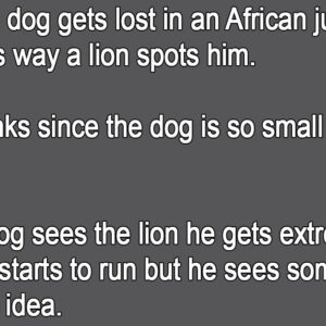 A Dog Got Lost In An African Jungle When A Lion Spotted Him.
