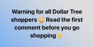 Think Twice Before You Buy: What Not to Get at Dollar Tree (And Why It Could Cost You More Than You Think)
