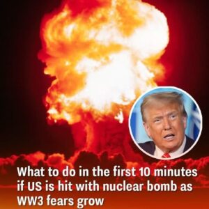 Steps to follow in the first 10 minutes if US endures nuclear blast as WW3 tensions rise