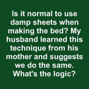 Mother in laws lol