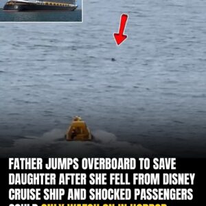 Hero Dad Leaps Off Disney Cruise Ship To Save Daughter Who Fell Overboard