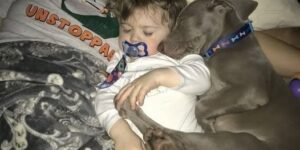 I LET OUR DOG SLEEP NEXT TO OUR TODDLER, AND NOW MY PARTNER WONT SPEAK TO ME