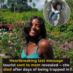 Tourist’s heartbreaking final texts to mom after volcano fall