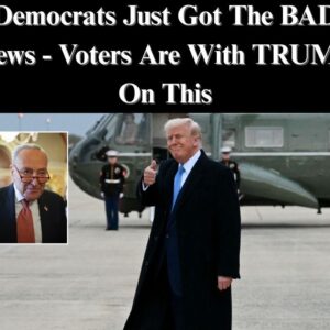 Voters Express Their Feelings About Trump’s ‘Big, Beautiful Bill’
