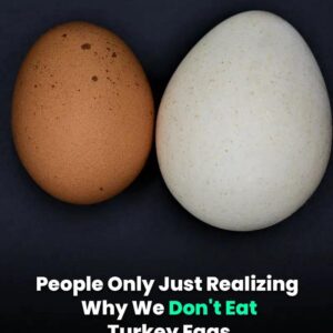 People Are Only Just Realizing Why We Don’t Eat Turkey Eggs