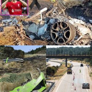 Breaking News: The accident that took away the celebrity has been confirmed to have… see more