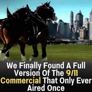 Budweiser Unveils a New Clydesdale Super Bowl Commercial That Will Leave You in Tears