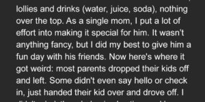 I Threw a Birthday Party for My 6-Year-Old at the Park – 2 Hours After It Ended, Other Kids’ Parents Stormed Back Screaming ‘What Did You Do?!’