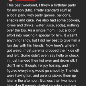 I Threw a Birthday Party for My 6-Year-Old at the Park – 2 Hours After It Ended, Other Kids’ Parents Stormed Back Screaming ‘What Did You Do?!’